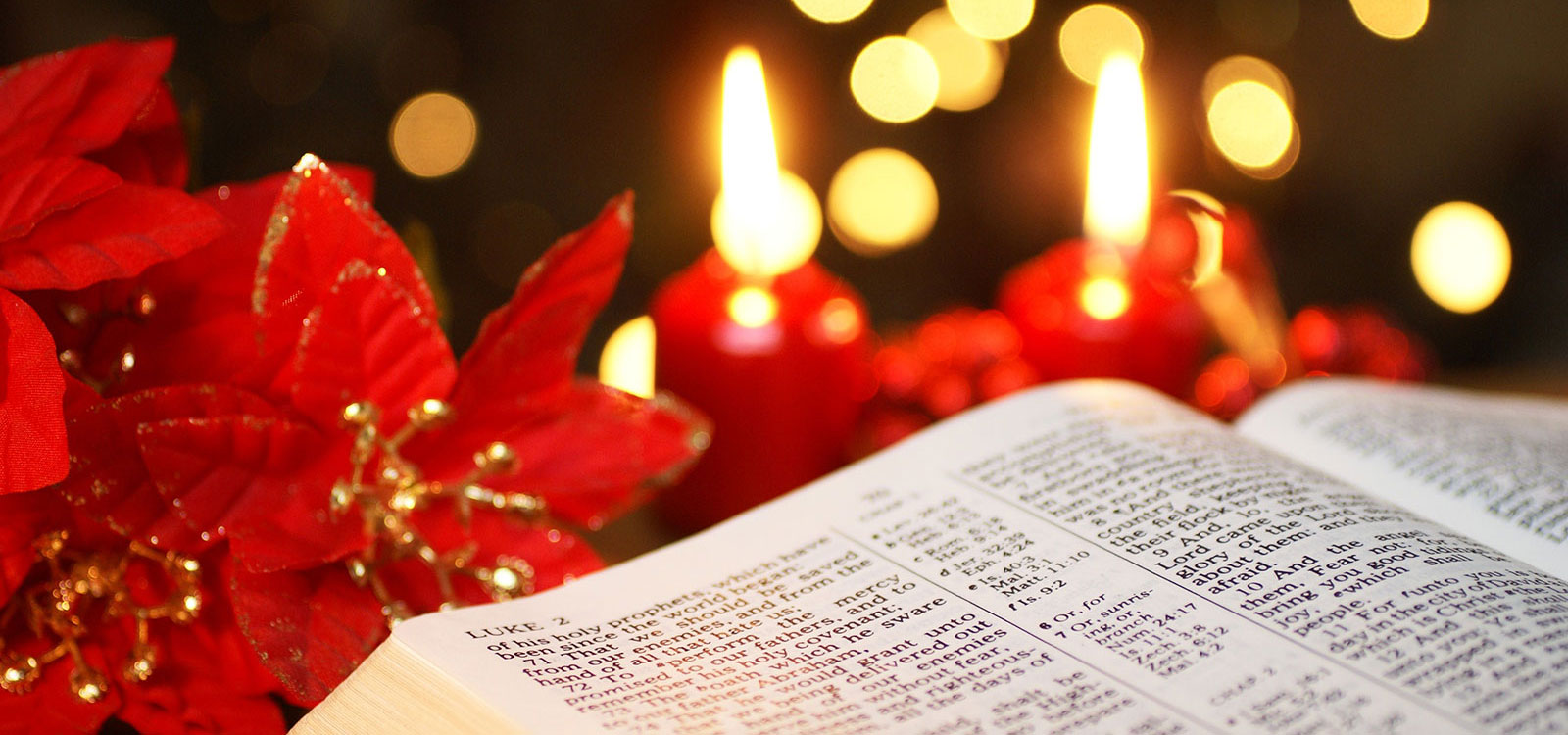 Experience the joy of Christmas with daily advent readings